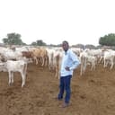 Abdimalik Hajir