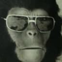 Bill Janovitz