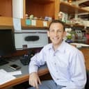 David Rosen