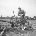 Dan Mitchell
