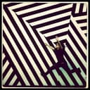Anna M. Phillips