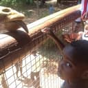 Tom Odula