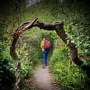 Julie Massiter